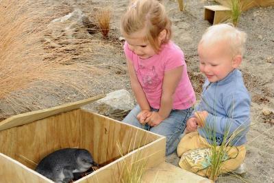 Excursión a Ecoworld New Zealand desde Marlborough Sounds