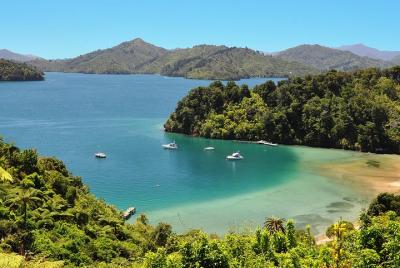 Full Day Queen Charlotte Kayak y Walking Tour desde Picton