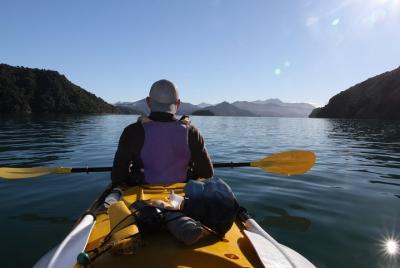 Tour guiado de medio día en kayak de mar desde Picton