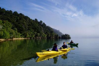 Excursión en kayak por mar guiada de día entero desde Picton
