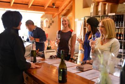 Excursión de medio día por el vino desde Picton