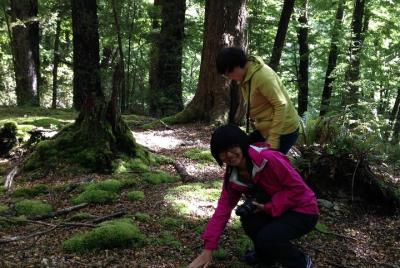 Paseos del dia del paraiso