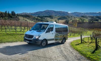 Tour de vinos clásico de Queenstown: 3 viñedos, tour de cueva y t