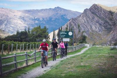 Tour de medio día en bicicleta por las bodegas de Queenstown Tour de medio día en bicicleta por las bodegas de Queenstown