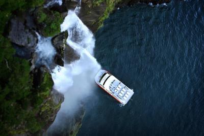 Medio día de Milford Sound Nature Cruise y vuelo desde Queenstown