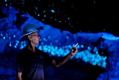 Waitomo Spellbound Glowworm and Cave Tour Full Day desde / hasta  Waitomo Spellbound Glowworm and Cave Tour Full Day desde / hasta