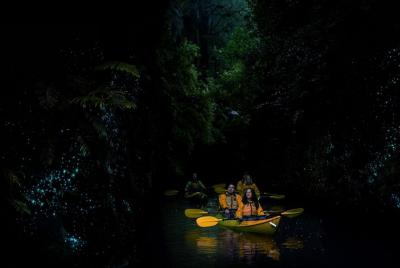 Tour en kayak por gusanos luminosos
