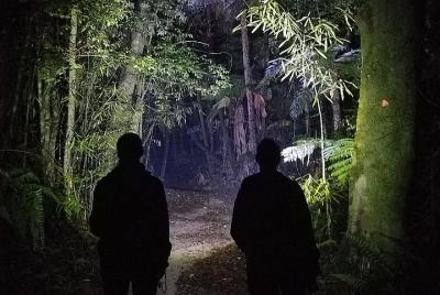 Aventura nocturna Glow-worm tour