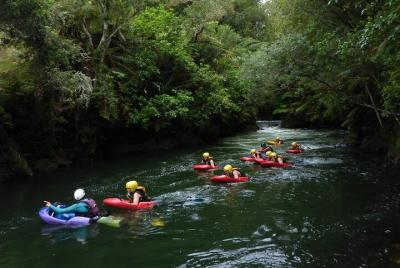 Aventura en trineo de aguas blancas