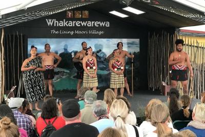 Tour de un día en crucero de lujo para grupos pequeños, Rotorua,  Tour de un día en crucero de lujo para grupos pequeños, Rotorua,