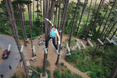 Curso de Obstáculos Forestales de Adrenalina en la Bahía de Plent Curso de Obstáculos Forestales de Adrenalina en la Bahía de Plent