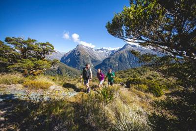 Full-Day Routeburn Track Key Summit Visita guiada desde Te Anau