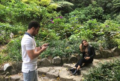 Wellington High Tea Tour