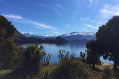 Crucero y caminata de 1 hora por la isla Ruby desde Wanaka