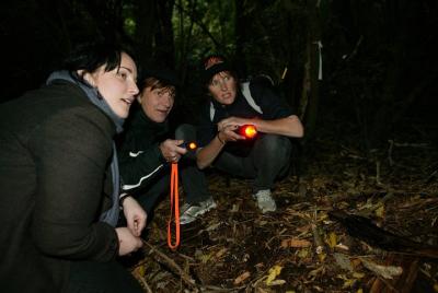Recorrido nocturno de Zealandia Recorrido nocturno de Zealandia