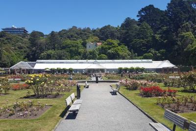 Recorrido combinado nocturno de Wellington y Martinborough