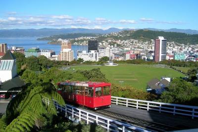 Excursión por la costa: Destacados en grupo pequeño de Wellington Excursión por la costa: Destacados en grupo pequeño de Wellington