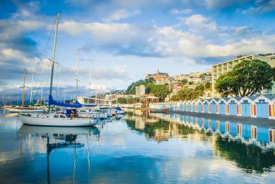 Excursión a los sitios de interés de la ciudad de Wellington y la Excursión a los sitios de interés de la ciudad de Wellington y la