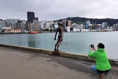 Capital Creatives: Wellington Art Tour - Private Full Day