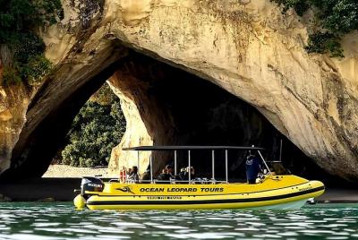 Ocean Leopard Tours - Recorrido en barco por la catedral de Cove Ocean Leopard Tours - Recorrido en barco por la catedral de Cove