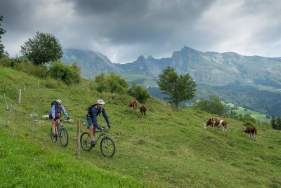 Bicicleta de montaña eléctrica en los picos de Annecy