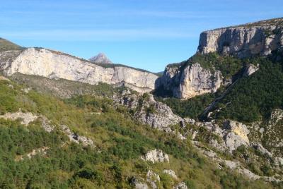 Tour por el campo de Provenza: excursión de un día desde Antibes 