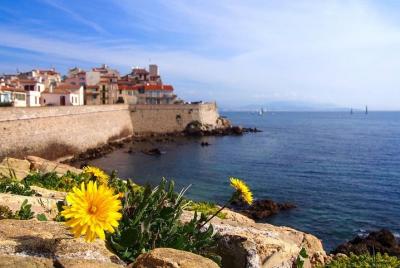 Tour privado de 4 horas por Cannes y Antibes desde Cannes con con Tour privado de 4 horas por Cannes y Antibes desde Cannes con con