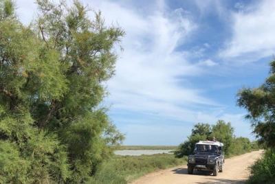 4x4 Camargue Safari 4h - Salida desde Arles
