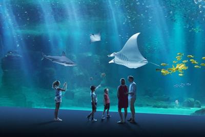 Entrada sin colas Nausicaa, el acuario más grande de Europa Entrada sin colas Nausicaa, el acuario más grande de Europa