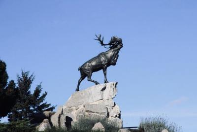 Newfoundland Memorial-Round Transfer de Arras a Beaumont-Hamel  Newfoundland Memorial-Round Transfer de Arras a Beaumont-Hamel
