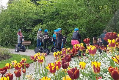 Paseo en segway en el jardín público de Saint-Omer Paseo en segway en el jardín público de Saint-Omer