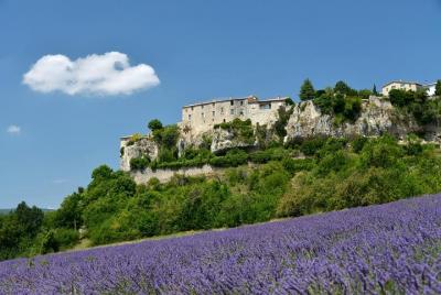 Excursión de un día para grupos pequeños a los campos de Lavanda  Excursión de un día para grupos pequeños a los campos de Lavanda