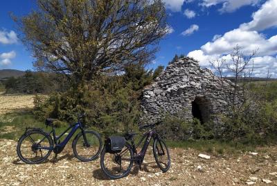 Tour en bicicleta por los campos de lavanda en Sault