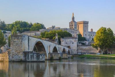 Avignon Tour - Guided visit of the main monuments