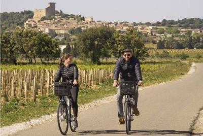 Medio día para visitar los alrededores de Châteauneuf-du-Pape