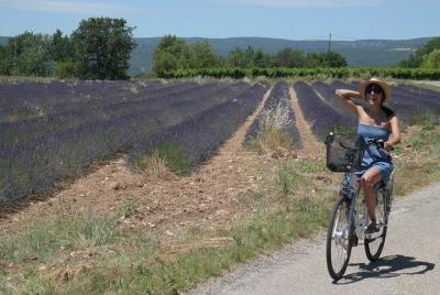Medio día en bicicleta eléctrica para descubrir el Luberon.