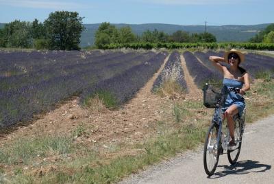 Luberon Electric Bike Rental desde Bonnieux