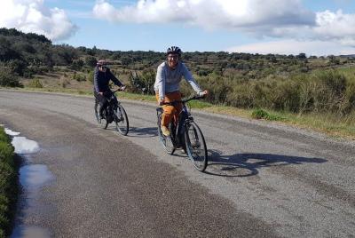 Alquiler de bicicletas eléctricas - Un día