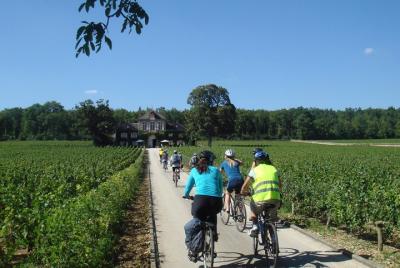 Tour en bicicleta por Borgoña con degustación de vinos de Beaune Tour en bicicleta por Borgoña con degustación de vinos de Beaune