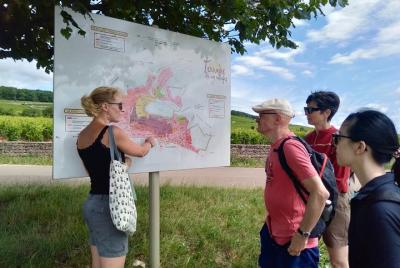 Aloxe-Corton, sus grandes añadas - Wine tour Aloxe-Corton, sus grandes añadas - Wine tour