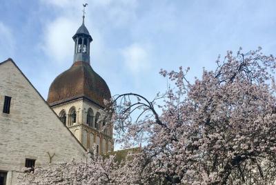 Visita guiada en grupos pequeños - Beaune 2h Visita guiada en grupos pequeños - Beaune 2h