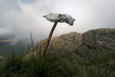 Mystique Tour - Tras las huellas de la brujería y el contrabando 