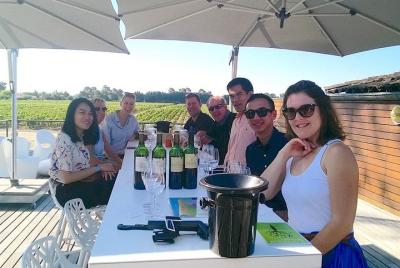 Tour de vinos por la tarde en la región de Medoc con visitas a bo