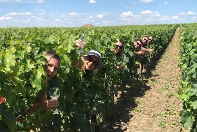 Excursión a castillos y cata de vino en Medoc o St-Emilion para g