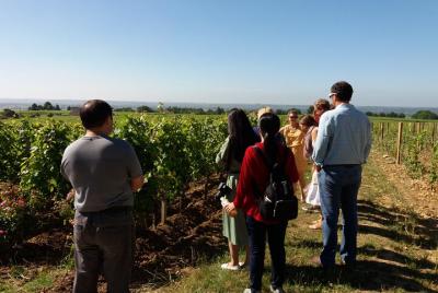 Por la mañana y desayuno Wine Tour en Medoc