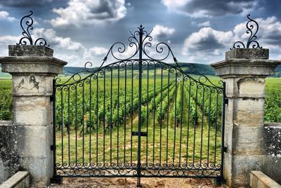 Excursión de medio día a St Emilion desde Burdeos