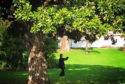 Sesión de Tai Chi Chuan y Qi Gong en el Jardín Botánico