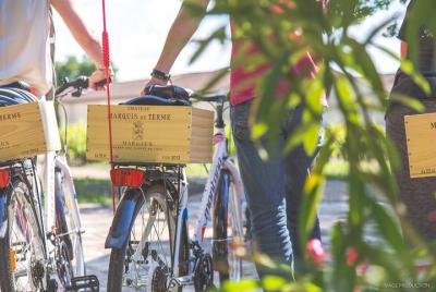 Alquiler de bicicletas por día