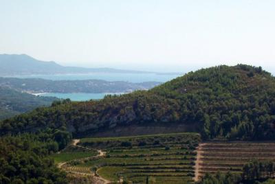 Toulon y alrededores - Tour de 8 horas Toulon y alrededores - Tour de 8 horas