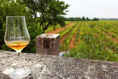 Excursión privada de un día desde Cognac: viñedos y destilerías artesanales con degustaciones Excursión privada de un día desde Cognac: viñedos y destilerías artesanales con degustaciones